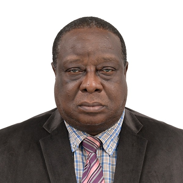 Prof. MASANI MATSHI Hippolyte